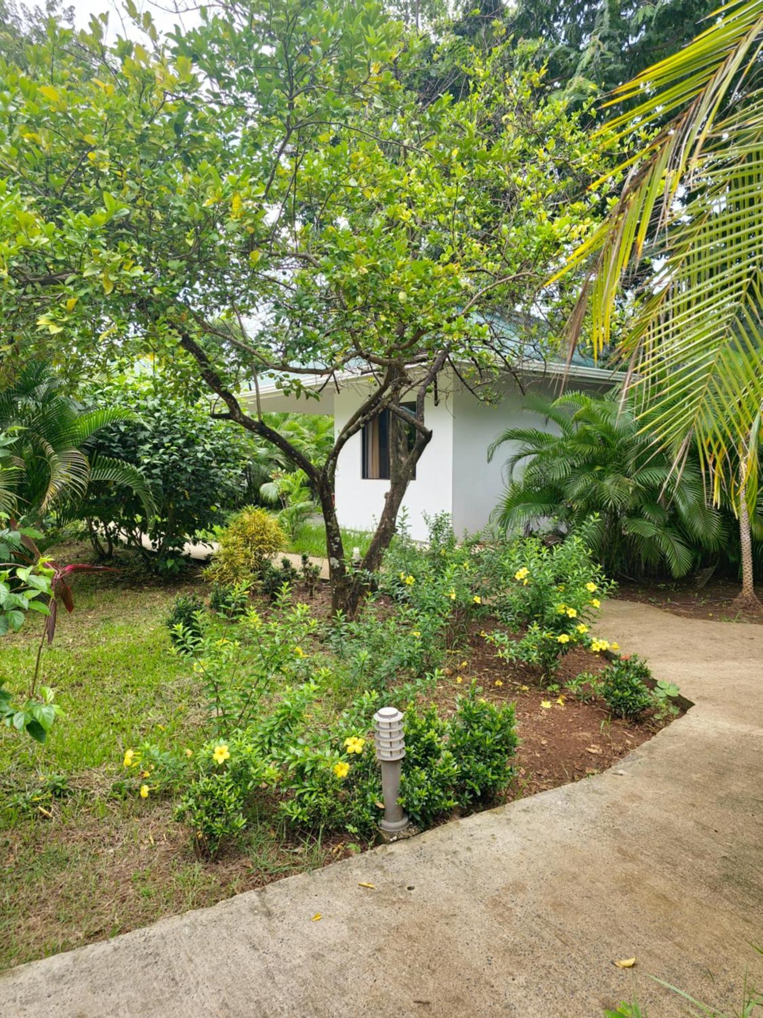 Buddha Retreat Hotel San Juanillo Eksteriør bilde